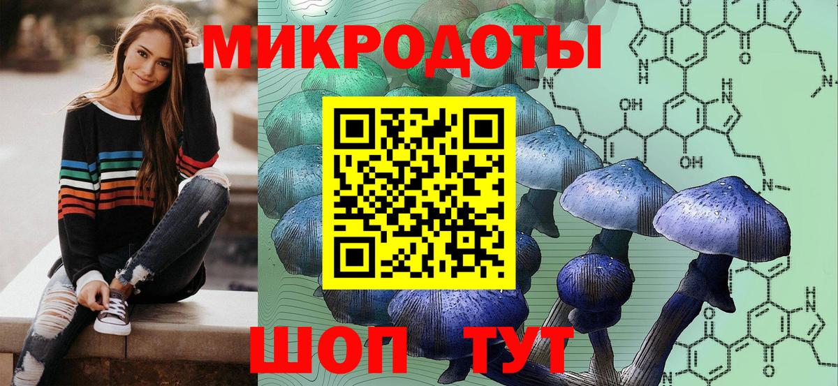 Галлюциногенные грибы Psilocybine cubensis Карпинск